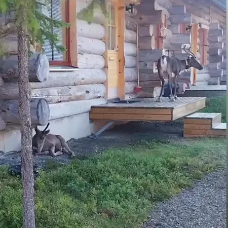 Lumikieppi Äkäslompolo