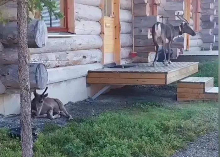 Lumikieppi Äkäslompolo